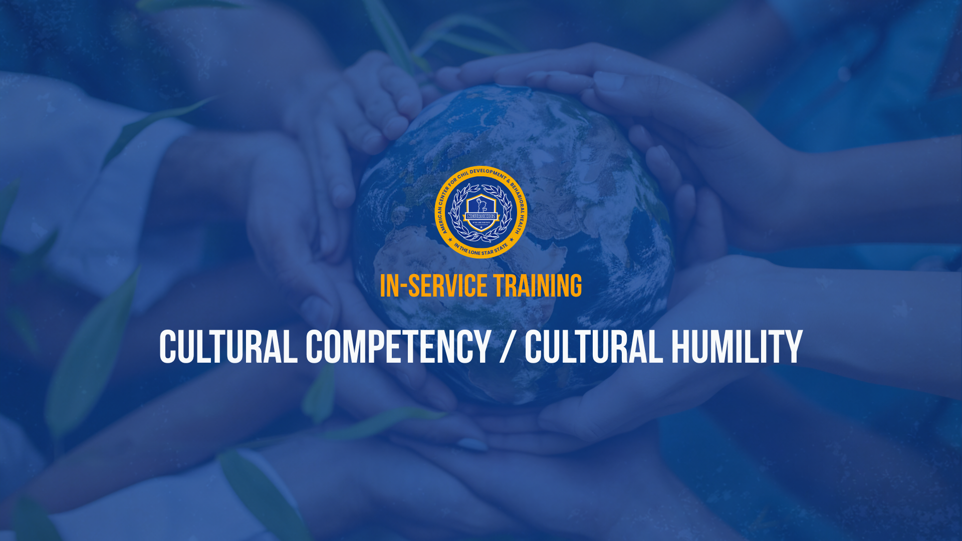 Cultural Competency / Cultural Humility Training
